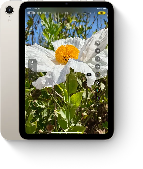 iPad mini 在竖屏模式下显示照片 app。